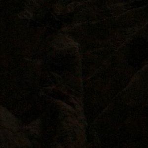 Meet your Posher, Lena